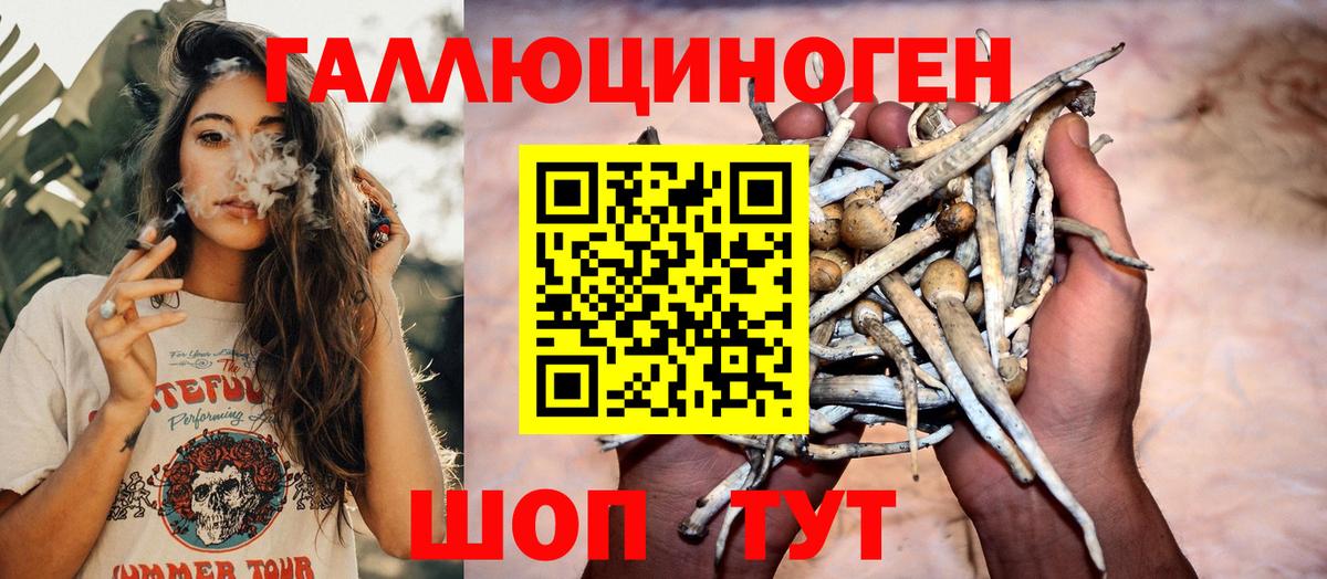 Псилоцибиновые грибы GOLDEN TEACHER Фурманов